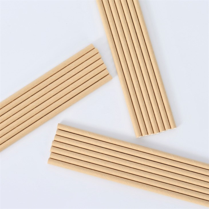 Biodegradable Smoothie Straws