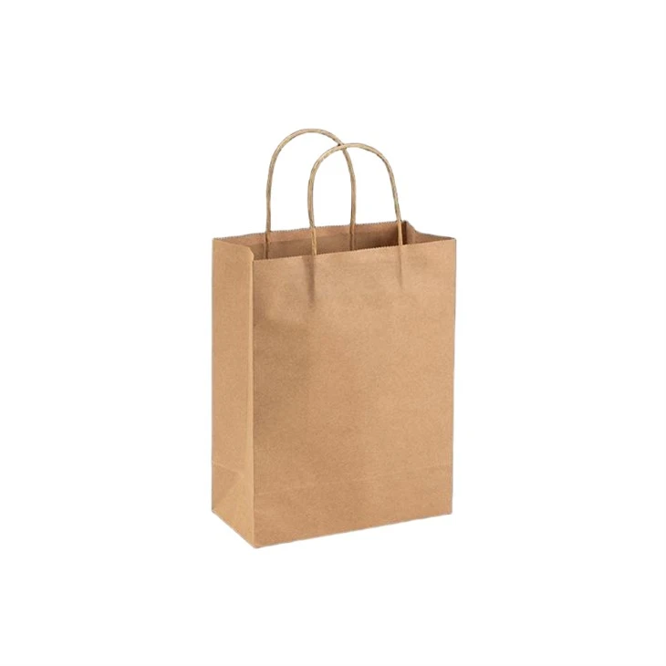 Brown Grocery Bag With Handles