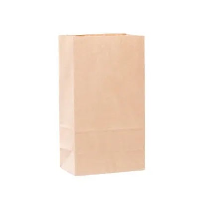 Brown Paper Grocery Bag
